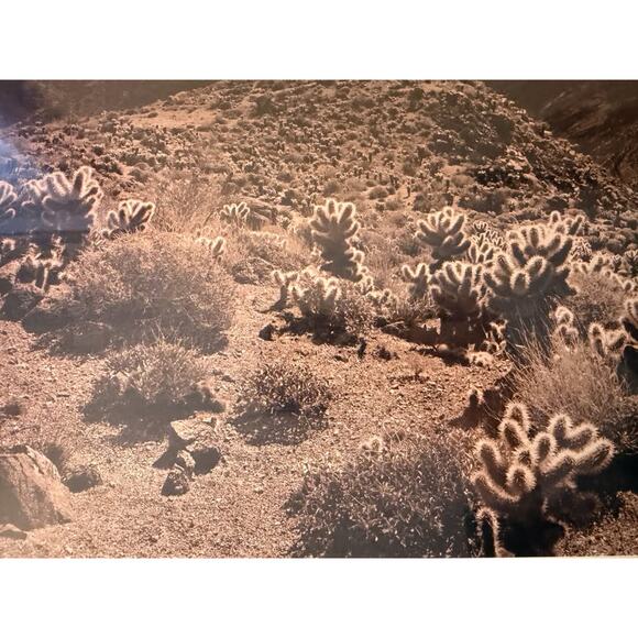 Douglas I. Busch Palm Springs, CA Collotype Print Poster Signed - Picture 4 of 7